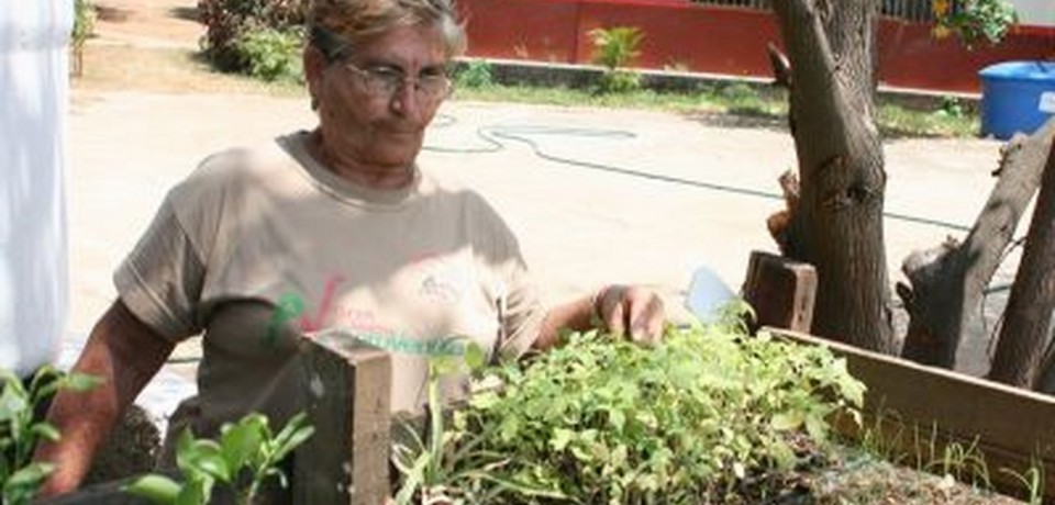 El Gobierno Bolivariano garantiza seguridad social a todos los adultos mayores de la patria