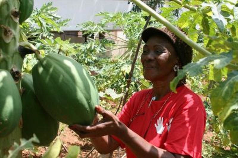 Gobierno Bolivariano: Garantía de Seguridad Alimentaria